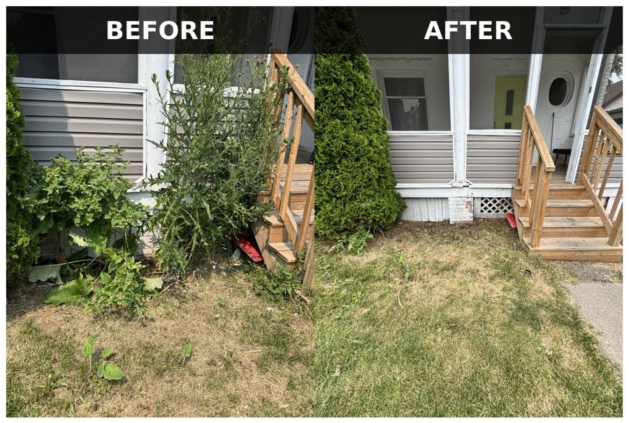 Before and after of a front entrance: heavy vegetation growing over the porch removed, leaving a clear walkway and open steps.