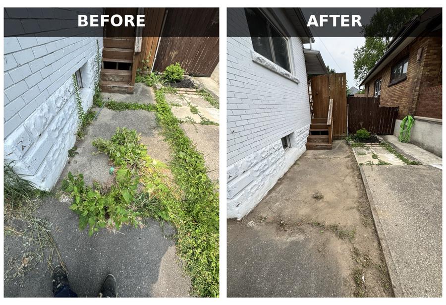 Before and after of a narrow side walkway: overgrown weeds and shrubs cleared back to expose clean, level paving stones.